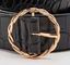 La correa de Pin Buckle Double O Ring Metal Accessories For Ladies de la cadena del círculo calza la ropa de los bolsos